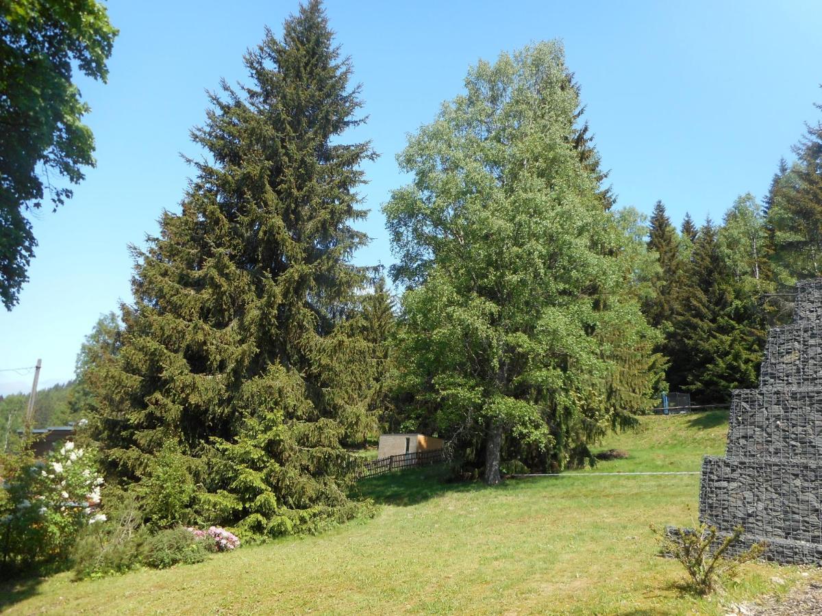 Pension U Jelinka Nové Hamry Exterior foto