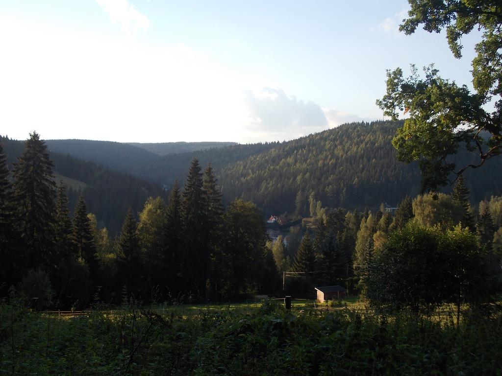 Pension U Jelinka Nové Hamry Exterior foto